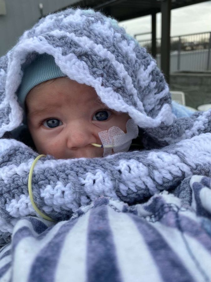 Image of Holsten - Baby Holsten