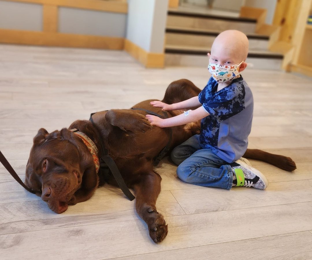 Image from Programs they love - Axle and Banjo