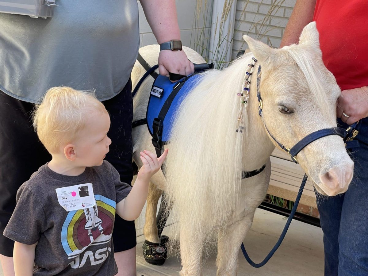 Image from Moments of Joy - A picture of a kid with a little horse