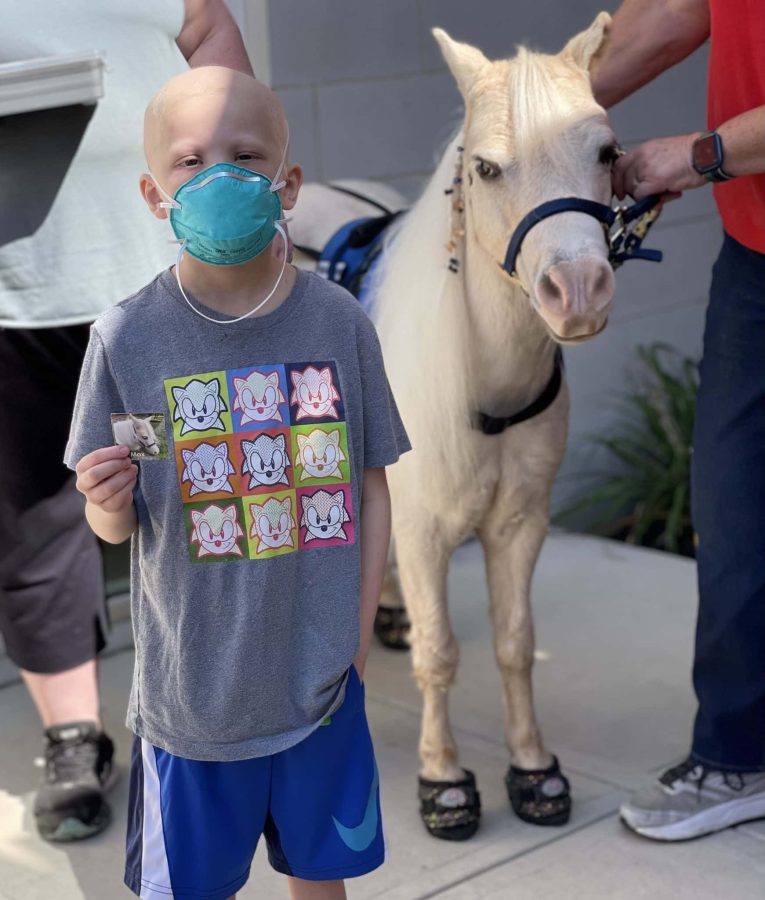 Image from Moments of Joy - Kid showing a picture of a little horse
