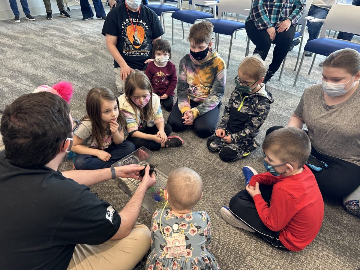 Image from Programs they love - Showing a turtle to the children