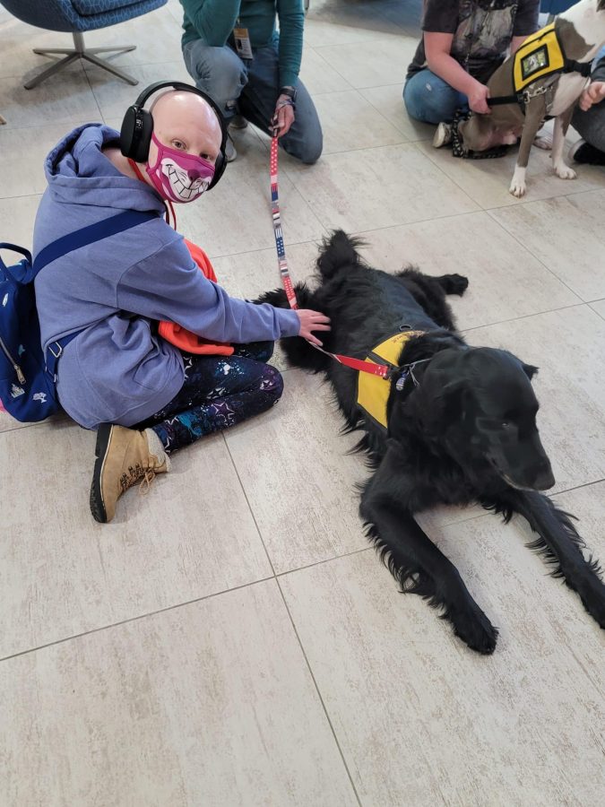 Image from Programs they love - Sydney petting a dog