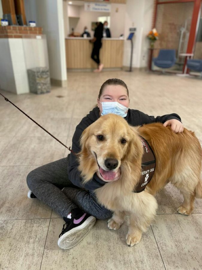 Image from Programs they love - A girl petting a dog